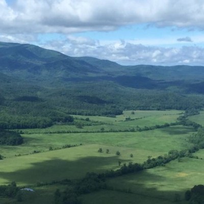a large green field with a mountain in the background