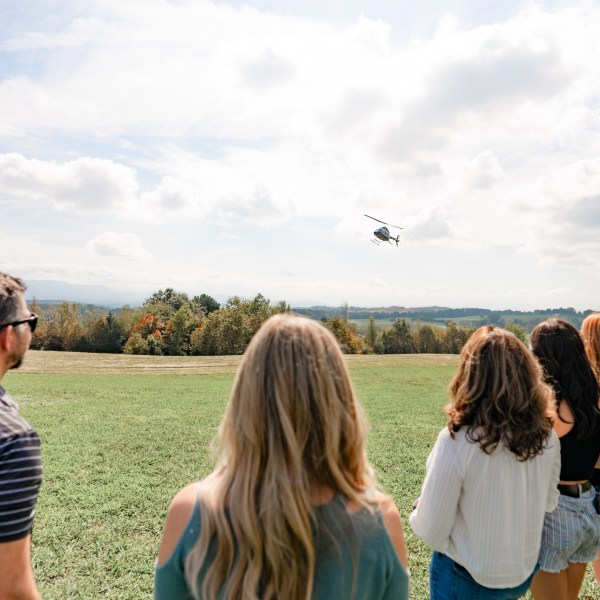 a group of people flying kites in a field